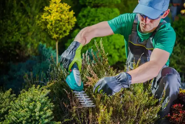 landscaping services Boys Town